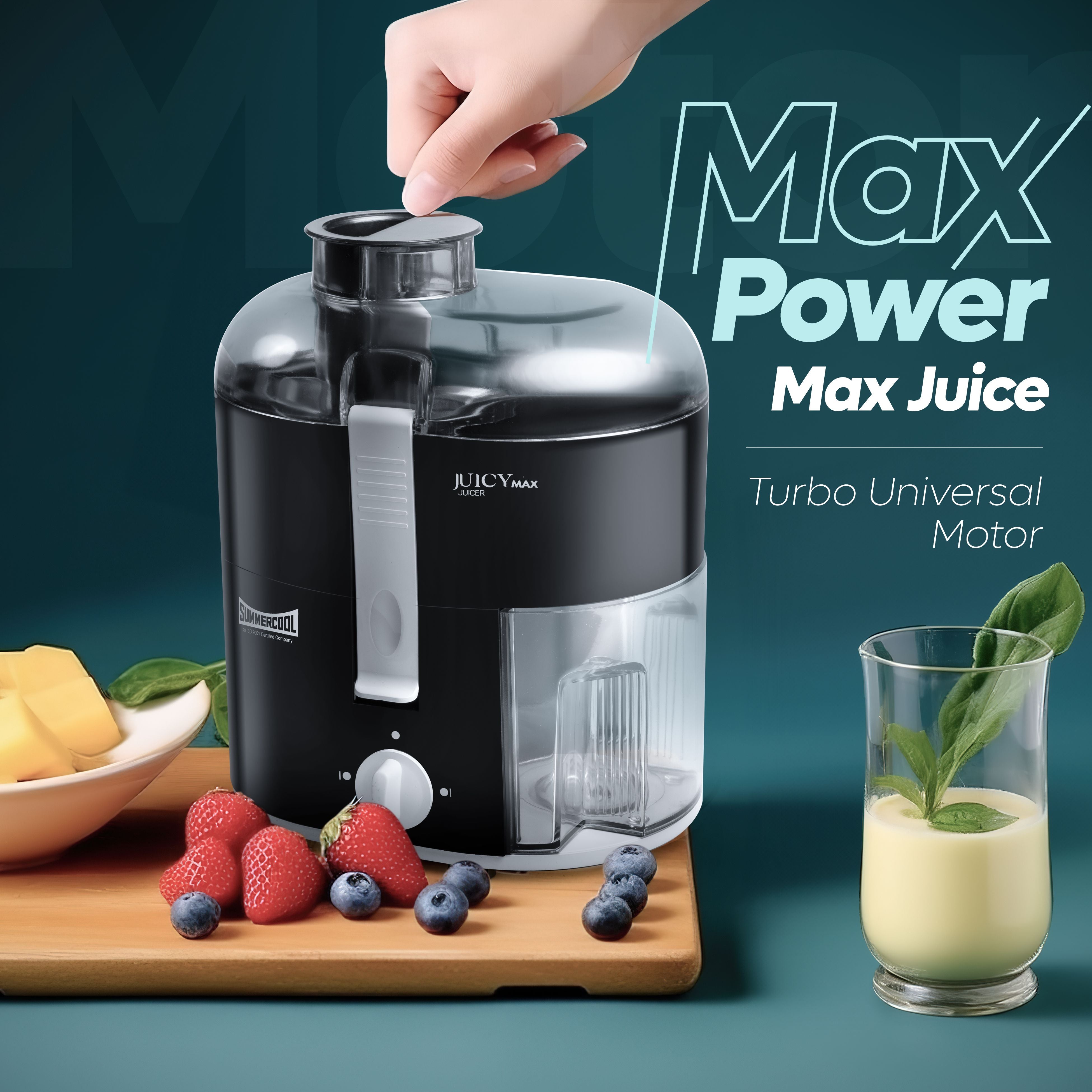 Buy Juicy Max 500 Watt Juicer Mixer Grinder | Summercool